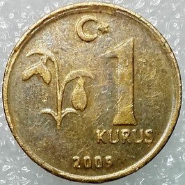 Turkey 1 Kurus 2009-2018 KM#1239