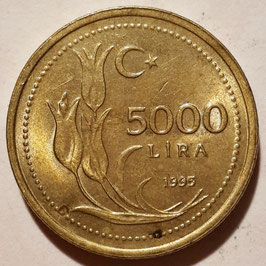 Turkey 5000 Lira 1995-1998 KM#1029.1