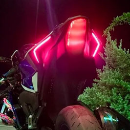 VF Designs YZF-R3 テールライト