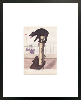 ‘The Bears’ Colour Tinted Print 1860