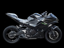 FIRETONG NINJA 500 WILLY MADE FULL-SYSTEM