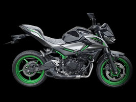 FIRETONG Z500 WILLY MADE FULL-SYSTEM