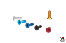 Oval head screw