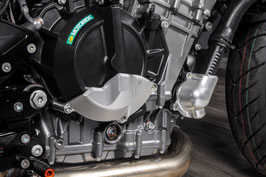 DUKE 790/890 CACE COVER