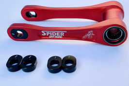 Adjustable lever with bearing