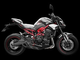 FIRETONG Z900 25-26 WILLY MADE FULL-SYSTEM