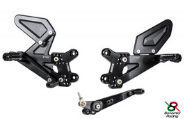 GSX-R 1000 17-18 Rear set