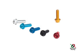 Hexagon screw with flange