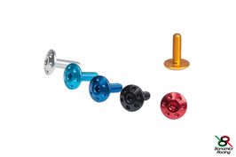 Lens head drilled screw
