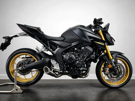 VANDEMON CB1000 HORNET FULL-SYSTEM LOW MOUNT