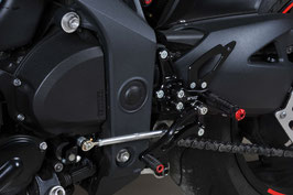 Speed Triple 1050 11-17