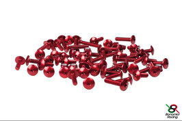 Frame screw