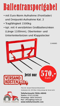 Ballentransportgabel