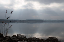 Neuenburgersee  -  1536-TTI