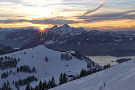 WGL14 - Sonnenuntergang auf der Rigi