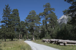 Doppelkarte A5 / naturweiss - Lantsch/St. Cassian - MWS 106