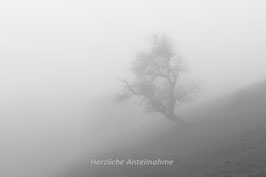 Baum im Nebel  -  0687-TSW