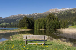 Doppelkarte A5 / sonnengelb - Frühlingsidylle am Heidsee  - P5277718