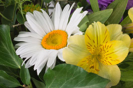 Blumenstrauss II - P7031752