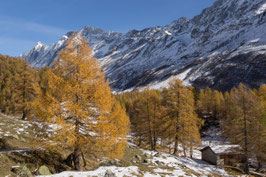 Doppelkarte A5 hochweiss - Herbststimmung auf der Fafleralp 5  - PA257677