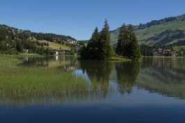 Doppelkarte A5 / naturweiss - Heidsee - P7191933