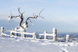 WGL16 - Winter auf der Rigi