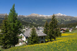 Doppelkarte A5 / naturweiss - Frühling in Lenzerheide - P5277800