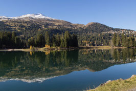 Doppelkarte B6 - blütenweiss - Spiegelungen am Heidsee - PB038231