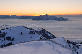 WSL13 - Nebelmeer Rigi