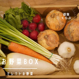 糸島の恵み　季節野菜セット