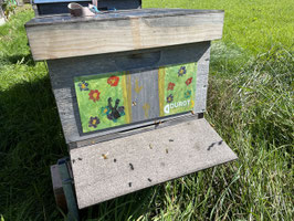BIENENPATENSCHAFT BIENENVOLK
