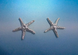 Medium Star Fish Earring  S 13 A