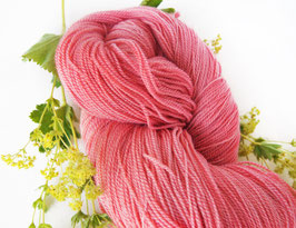 welthase angel lace strawberry