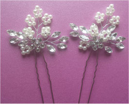 Set 2. Stk. Haarnadeln Braut Haarnadeln Perlen Silber Strass Haarnadeln Hochzeit  N6289