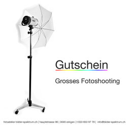 Gutschein "Grosses Fotoshooting"