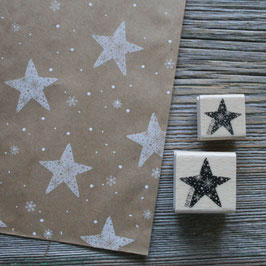 Stempel "Schneestern"