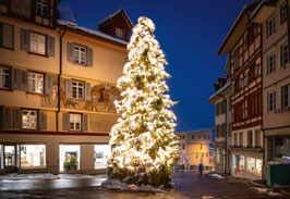 grusskarte weihnachten wil