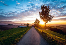 grusskarte hohe buche