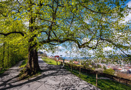 grusskarte dreilinden · st. gallen