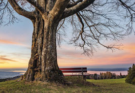 grusskarte kaienspitz · bodensee