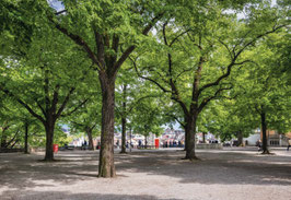 grusskarte zürich
