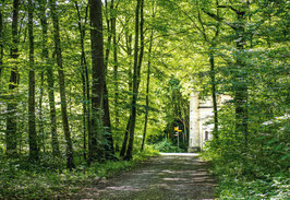 grusskarte romanshorner wald