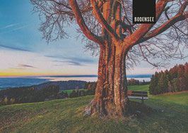 postkarte bodensee