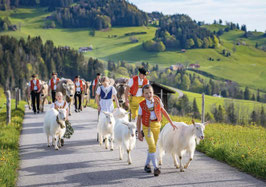 minkarte alpaufzug · urnäsch