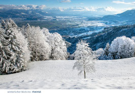 postkarte winterlicher blick ins rheintal