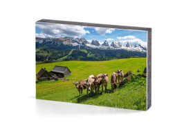 holzbild toggenburg wie im bilderbuch