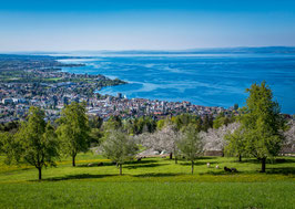 Postkarte Bodensee