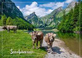 Postkarte Seealpsee
