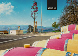 postkarte weinfelden