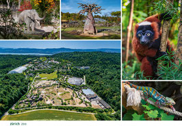 postkarte zürich zoo
